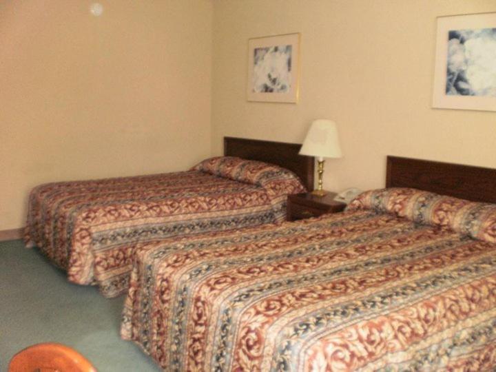 Boarders Inn And Suites - Marion Rum bild